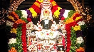 Holy Places Tirupati Balaji Darshan in Marathi [upl. by Armallas]