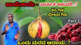 ಅಡಿಕೆ ತೆಂಗಿನ ತೋಟದಲ್ಲಿ ಮಿಶ್ರಬೆಳೆಯಾಗಿ ಜಾಯಿಕಾಯಿ  ಸಂಕ್ಷಿಪ್ತ ಮಾಹಿತಿ ಭಾಗ 1 [upl. by Hecker546]