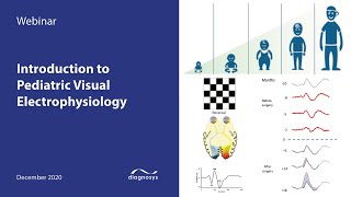 Introduction to Pediatric Visual Electrophysiology [upl. by Senn]