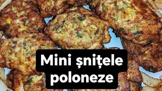 MINI SNITELE POLONEZE [upl. by Attelra]