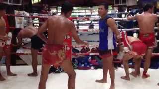 muay thai kick pad work [upl. by Aihtnys661]