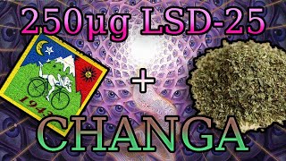 200μg LSD25  DMT Erfahrungsbericht  Die Rückkehr [upl. by Ibot618]