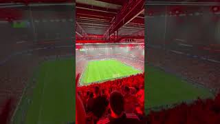 Atletico Madrid fans vs Benfica away championsleague shorts footballpassion [upl. by Amelus]