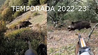 CAZA DEL JABALÍ EN NAVARRA Y ARAGÓN TEMPORADA 2022 23 40 LANCES A JABALÍ 🐕🐗 [upl. by Bobbie966]