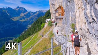 Hike to famous cliff restaurant – Aescher🇨🇭 Ebenalp Switzerland [upl. by Leverick47]