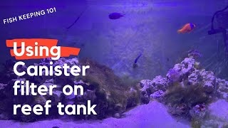 How to keep a reef tank using a canister filter [upl. by Oremo]