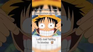 Luffy Just Talking to Monkeys [upl. by Lennard]