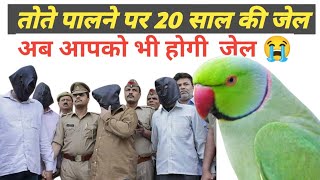 Parrots are Illegal in India  Birds Banned In India [upl. by Noret]