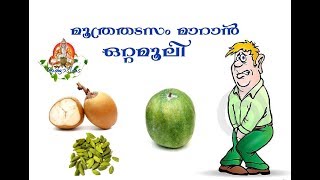 മൂത്രതടസ്സം മാറാൻ mootratadasam maaran  mootram pokan ottamooli [upl. by Durst835]