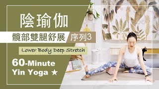 60分鐘 陰瑜伽【髖部雙腿舒展序列3】Yin Yoga ★ 自我按摩 靜觀冥想 深度放鬆舒展 陰瑜珈 每日瑜伽 平衡之身和平之心 [upl. by Alyose]