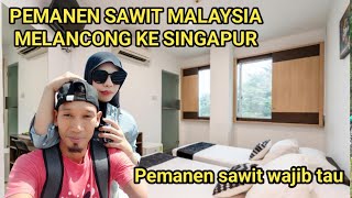 pemanen sawit Malaysia melancong ke Singapur [upl. by Novyak]