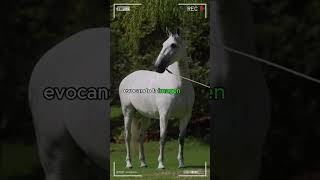 🔴 Caballos PRE 2024 🔴 Pura Raza Español caballos DeCaballos horse [upl. by Krongold]