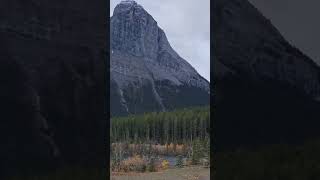 Canmore grassi LakeCanmorebanffnationalparkAlberta [upl. by Amzaj]