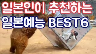 사요가 추천하는 재미있는 일본 예능 Best 6 [upl. by Halimeda]