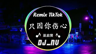 巫启贤《只因你伤心》  『春風秋雨在搖撼 像已化作醉醒的烙印』Remix TikTok [upl. by Antoni32]