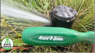 The Best Way To Adjust Your Sprinkler Heads DIY [upl. by Miko]