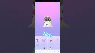 Pokemon go evolving a scatter bug encounter able by gifts [upl. by Jedthus149]