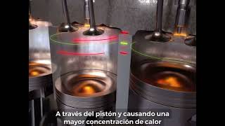 How do FASS Fuel System works  Como funciona la bomba FASS [upl. by Ravert]