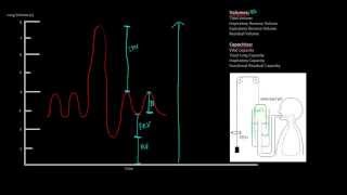 Respiratory Physiology Spirometry lung volumes and capacities [upl. by Ajnin]