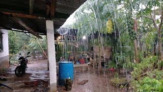 Fuertes lluvias con viento que rica se puso freca la tarde asi disfrutamos la lluvia en casa😱 [upl. by Palgrave761]