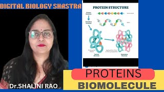 Proteins II Biomolecules II Std11Th amp 12Th II Biology II proteins in biomolecules II NEET NCERT [upl. by Margette]