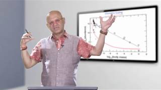 Allometric and Isometric Scaling  Prof Raghu Murtugudde [upl. by Nnayt]