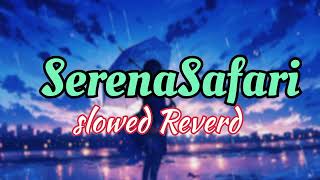 Serena Safari Song LofiSlowed Reverd [upl. by Meriel]