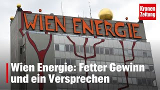 Wien Energie Fetter Gewinn und ein Versprechen  kronetv NEWS [upl. by Eleonore470]