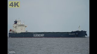 KRISTIAN OLDENDORFF  Shipspotting Germany 🇩🇪 IMO 9952505  River Elbe near City Otterndorf  4K [upl. by Suoirtemed]