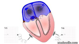 ECG Interpretation  Generation [upl. by Acinod95]