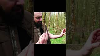 Plugging The Hole After Extracting Sap From Birch Trees [upl. by Brinna]