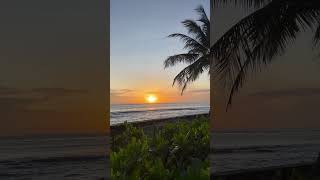 Sunrise at holiday inn kandooma resorts shortvideo travelmaldives sunrise holidayinnmaldives [upl. by Syck679]