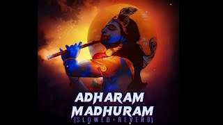 Adharam Madhuram SlowedReverb djtycoon [upl. by Gawain]