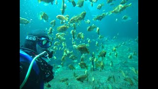 Scuba Lab Mask Testing [upl. by Cohligan243]