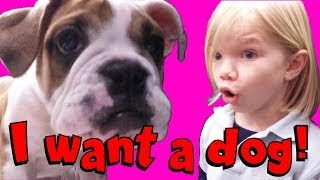 I Want a Dog​​​ Jillian amp Addie of Babyteeth4​​​ [upl. by Ciccia]