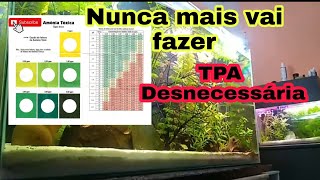 Conheça as Principais Causas de Amônia no Aquário [upl. by Nylidnarb227]