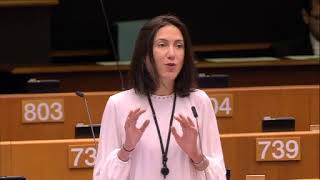 Valerie Hayer 30 Jan 2020 plenary speech on Commission Work Programme 2020 [upl. by Ellora]