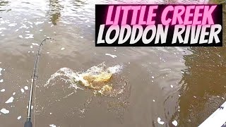 Fishing Little Creek on the Loddon River after storm [upl. by Ardni]