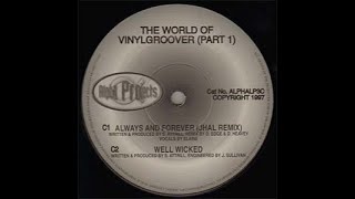 Vinylgroover  Always amp Forever JHAL Remix [upl. by Noelc]