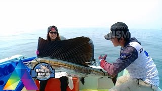 MANCING MANIA  Terseret Layaran Di Atas Kayak 1 November 2015 31 [upl. by Minnaminnie938]