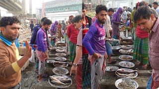 ৫০ টাকা থেকে মাছ বিক্রি শুরু আজব এক মাছ বাজারের সন্ধান পেলাম আজ আমরা হাজার টাকার মাছ ৩০০ টাকা [upl. by Yortal]