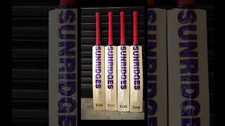 Unveiling the SS Cricket Player Series Bats [upl. by Milt]