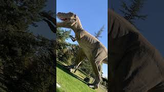 dinazor dinosaur dinazorlar çizgifilm masaldinle seslikitap blippi blippitractor [upl. by Nosittam]