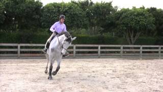 Cynthia Hankins Favorite Exercises on the Flat [upl. by Kwang296]