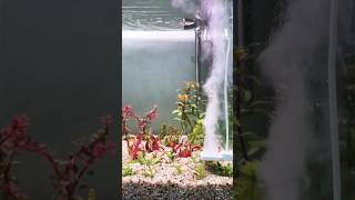 Dutch style Plant Aquarium  Test Chihiros Doctor Mate  Tank 60x40x40 [upl. by Annatnom]