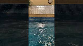 🏊 Aqua Therapy ASMR 👂✨ aquatictherapy asmr painmanagement [upl. by Edwina]