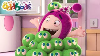 Oddbods Furry Pet Aliens  A Kartun for Children [upl. by Ansev986]