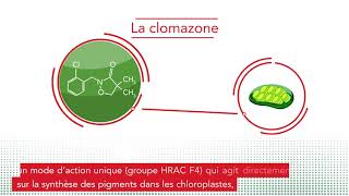 CENTIUM® 36 CS Herbicide  Une technologie brevetée FMC  La microencapsulation [upl. by Eiahpets]