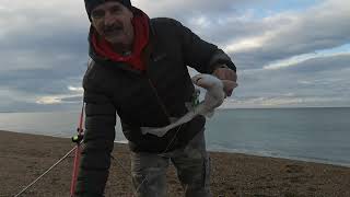 Chesil Beach  2nd October featuring the Lovely Michelle [upl. by Claudetta]