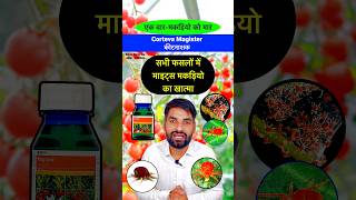 Corteva Magistar मकड़ी नाशक दवा  Miticide  Acaricide  Mites control insecticide shorts farming [upl. by Ailatan]